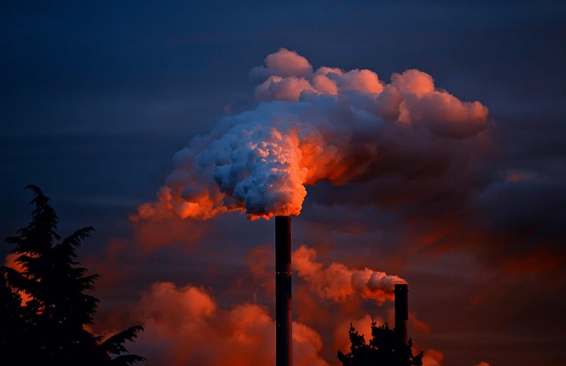 Environmental impact facts