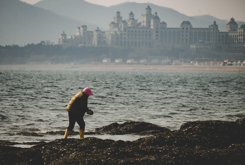 Local clean-up campaigns
